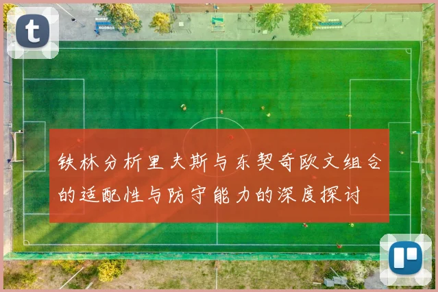 铁林分析里夫斯与东契奇欧文组合的适配性与防守能力的深度探讨