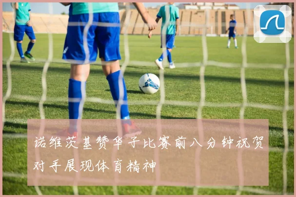 诺维茨基赞华子比赛前八分钟祝贺对手展现体育精神