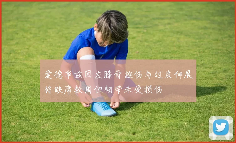 爱德华兹因左膝骨挫伤与过度伸展将缺席数周但韧带未受损伤