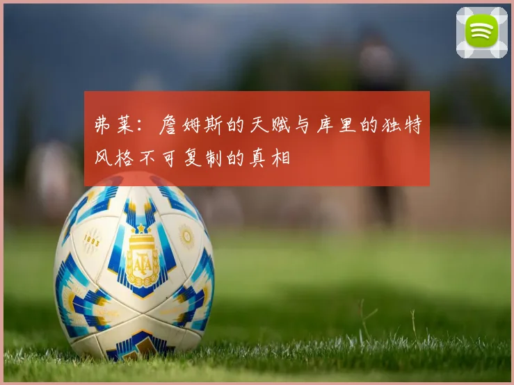 弗莱：詹姆斯的天赋与库里的独特风格不可复制的真相