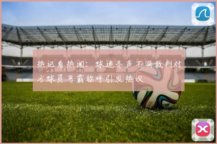 热记看热闹：球迷齐声不满裁判对方球员恶霸称呼引发热议